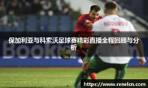 ld乐动官网入口