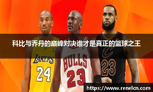 ld乐动官网版